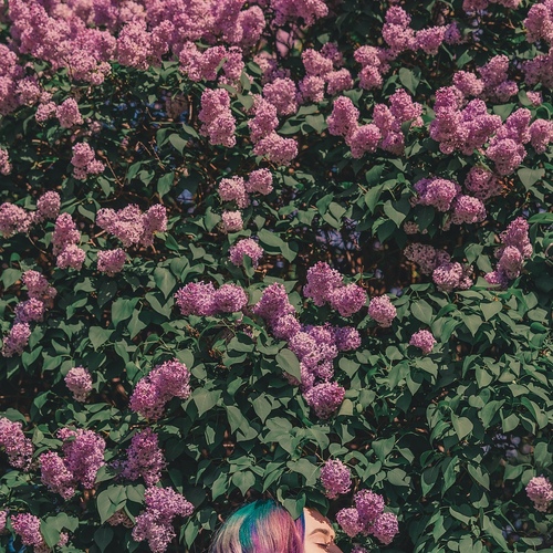 Photo #13763204