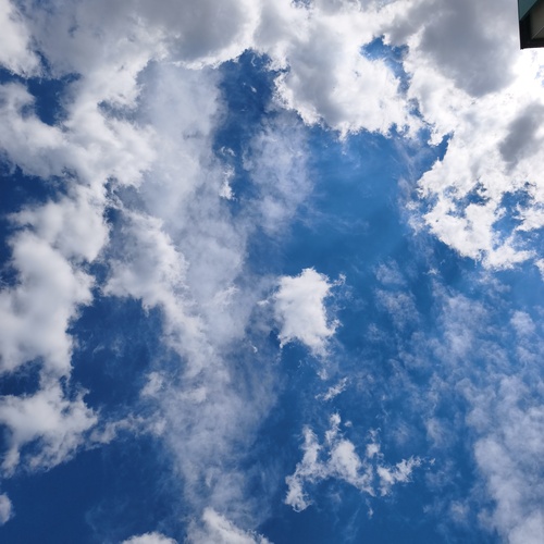 Photo #13763230