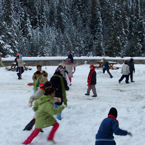 Photo #13763240