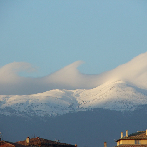 Photo #13763248