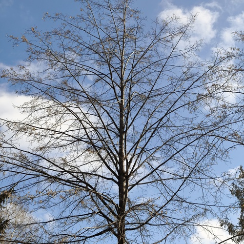 Photo #13763251