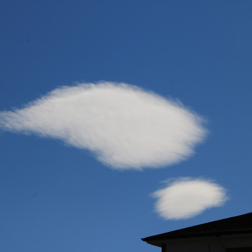 Photo #13763259