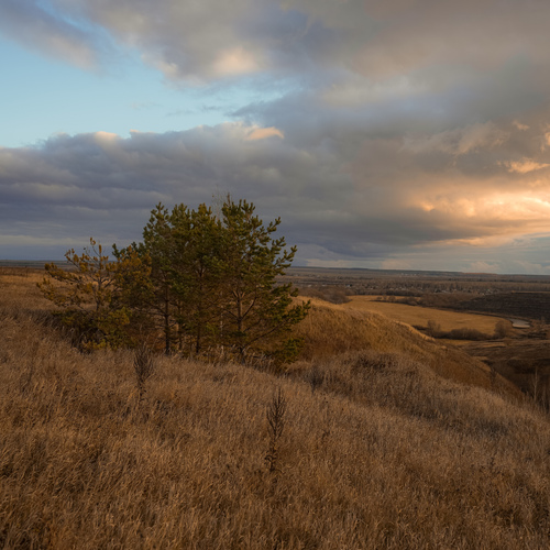 Photo #13763262