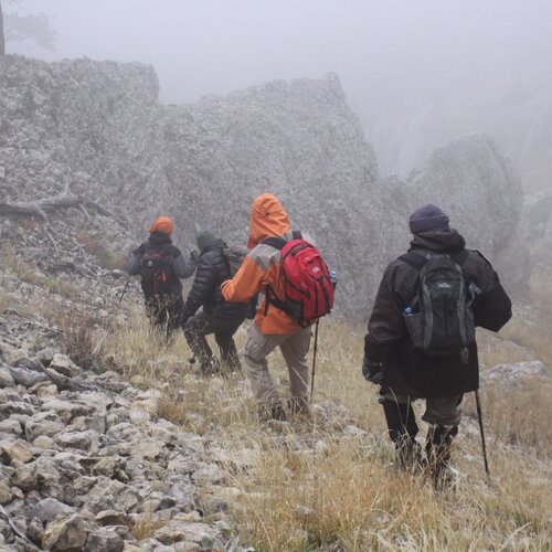 Photo #13763314