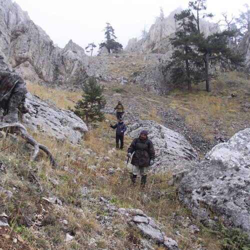 Photo #13763315