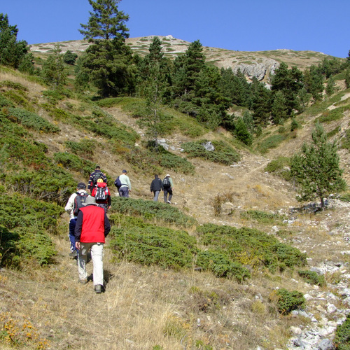 Photo #13763345