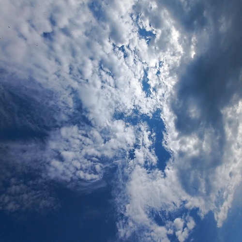 Photo #13763402