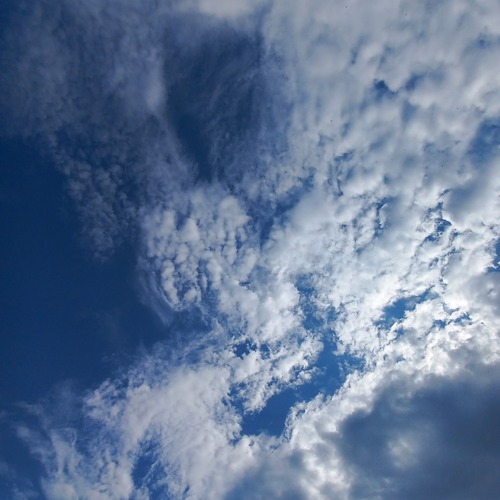 Photo #13763404