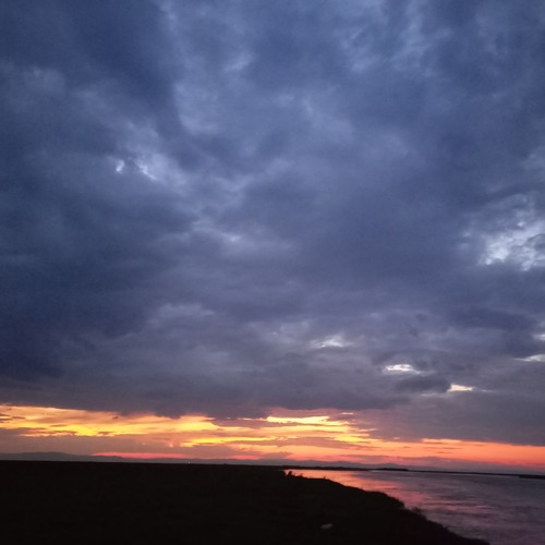 Photo #13763410