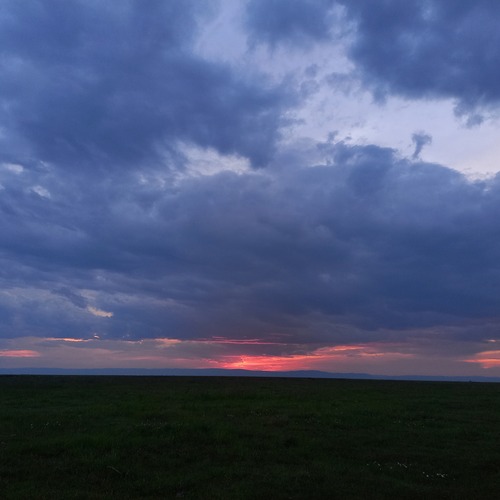 Photo #13763412