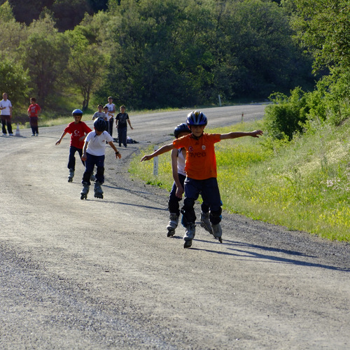 Photo #13763416