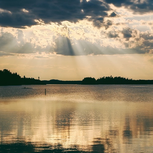 Photo #13763418