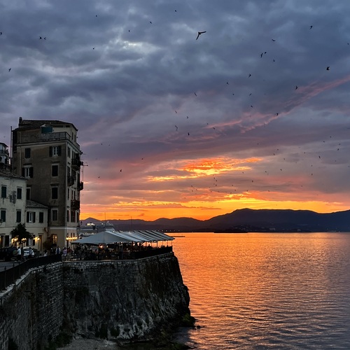 Photo #13763430