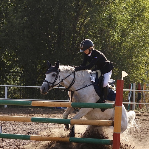Photo #13763591