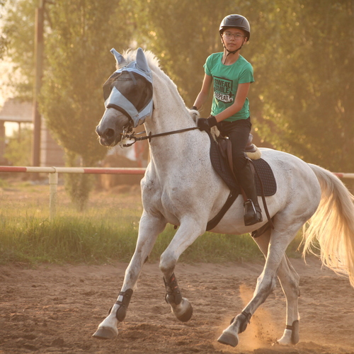 Photo #13763592