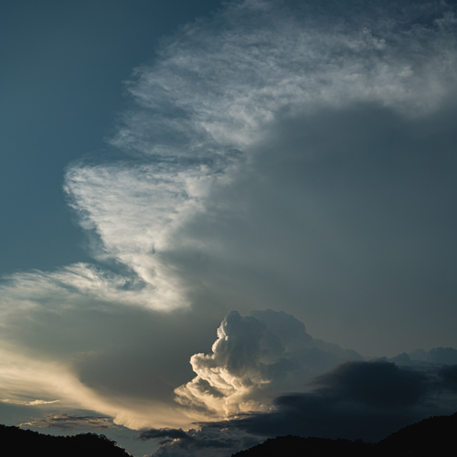 Photo #13763609