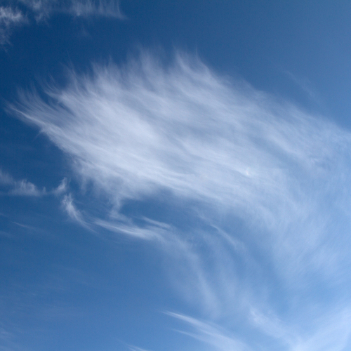 Photo #13763610