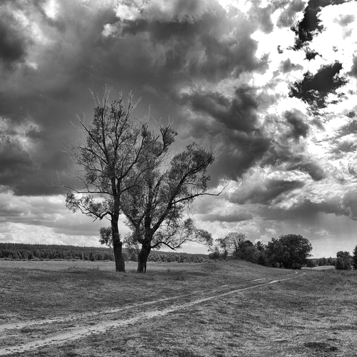 Photo #13763617