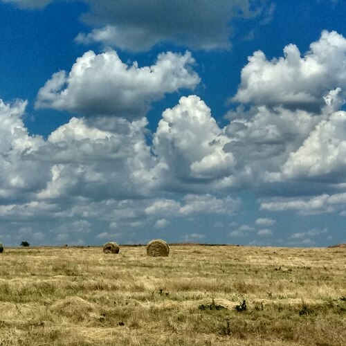 Photo #13763627