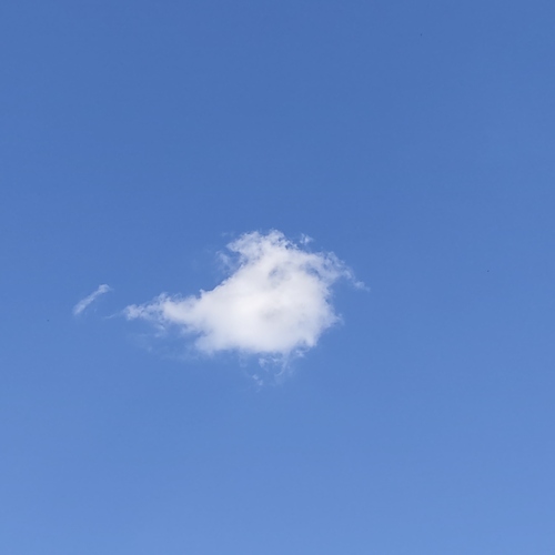 Flying Cloud