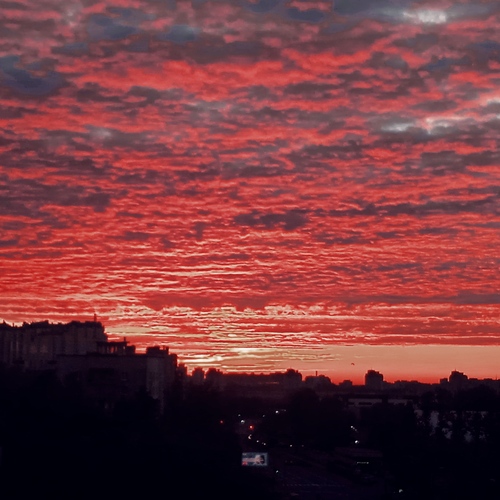 Photo #13763644