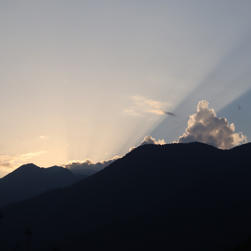 Photo #13763681