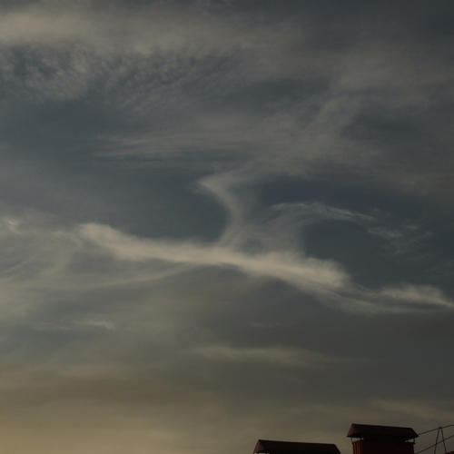 Photo #13763727