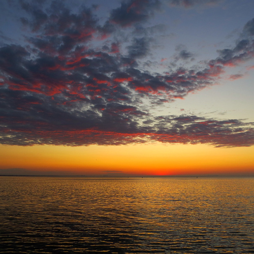 Photo #13763759