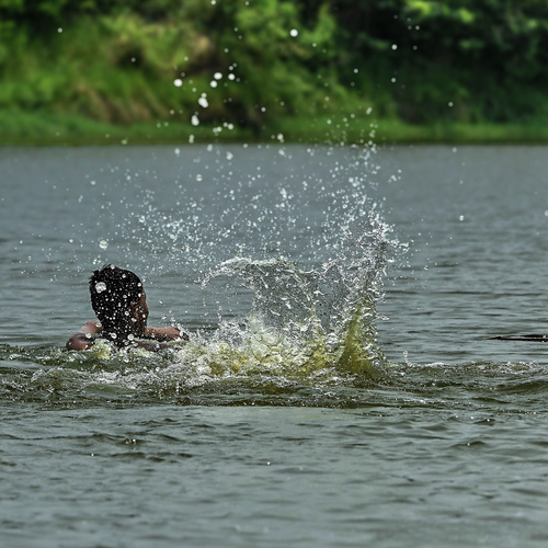 Photo #13763774