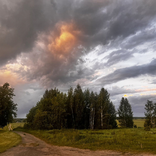 Photo #13763803