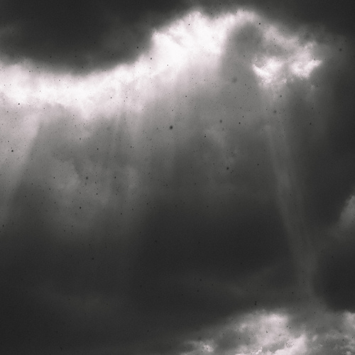 Photo #13763812