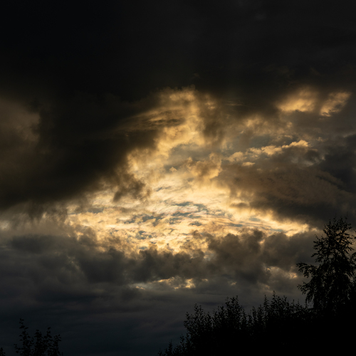 Photo #13763822