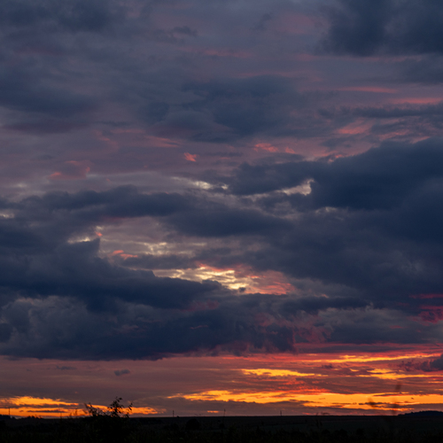 Photo #13763823