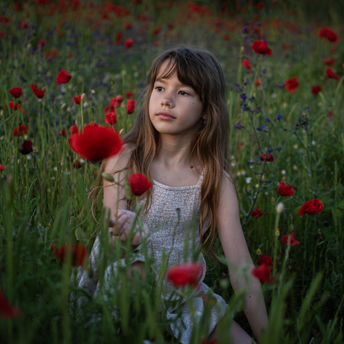 Photo #13764036