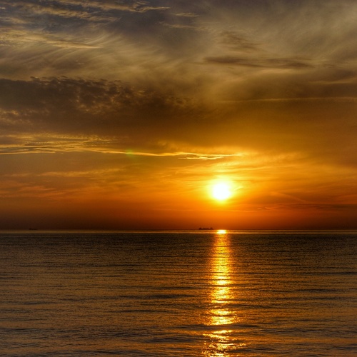 Photo #13764046
