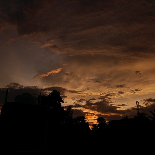 Photo #13764068