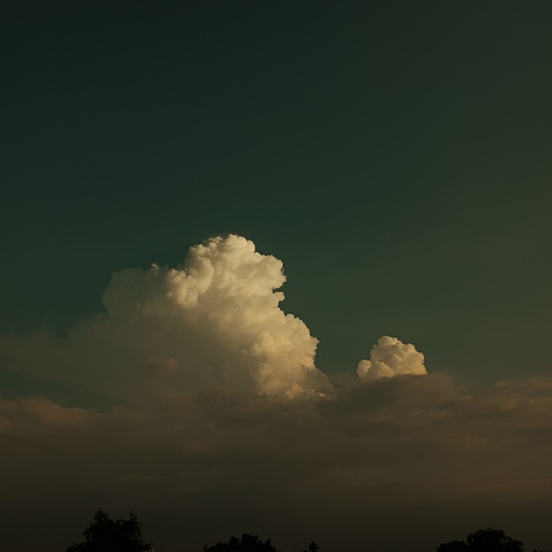 Photo #13764084