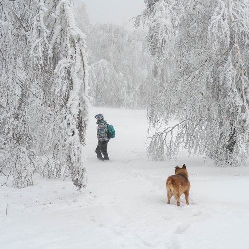 Photo #13764098