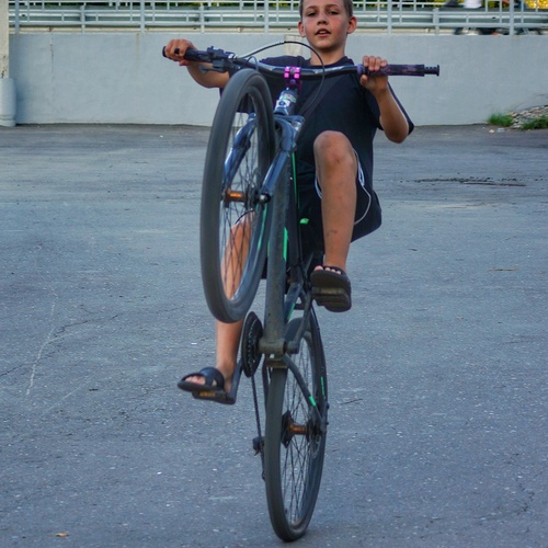 Photo #13764118