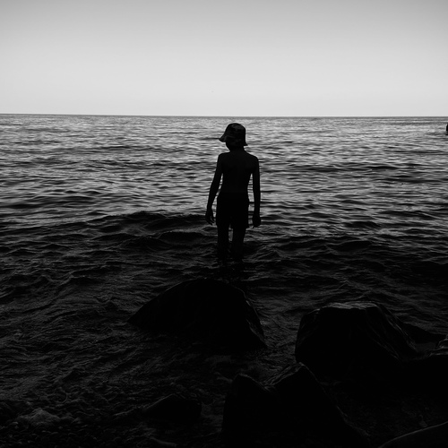 Photo #13764188