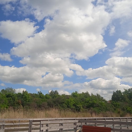 Photo #13764196