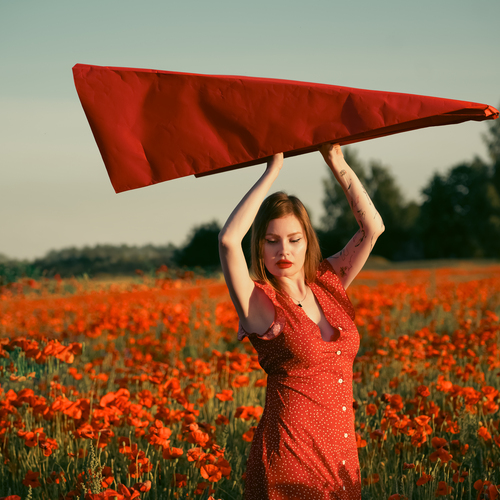 Фотография #13764209