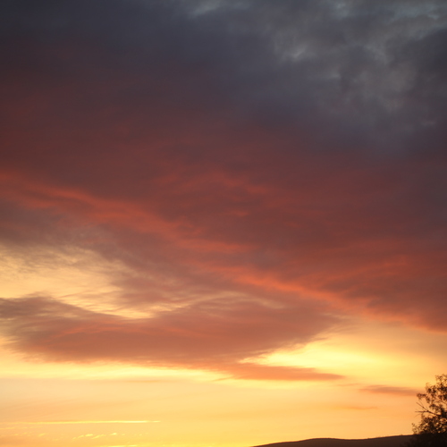 Photo #13764239