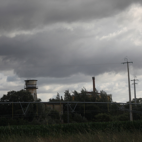 Photo #13764242