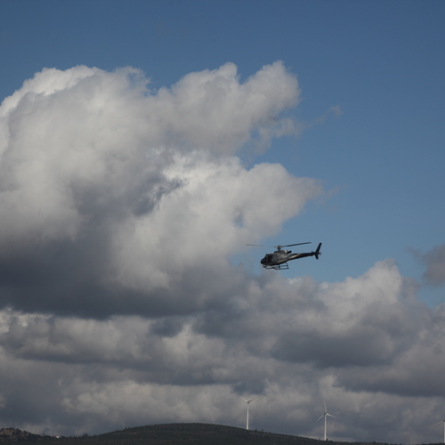 Photo #13764255
