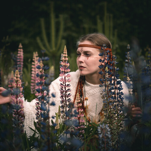 Photo #13764257
