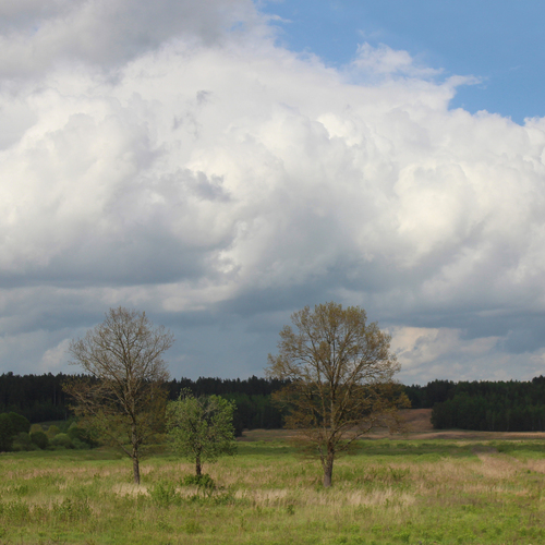 Photo #13764276
