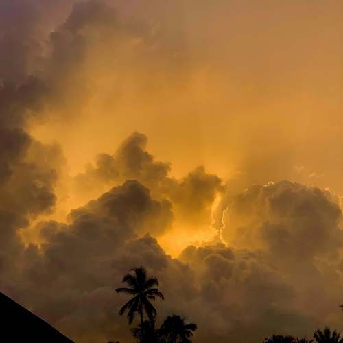 Photo #13764307