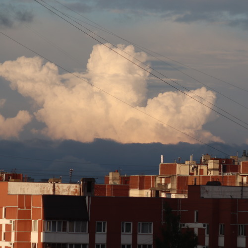 Photo #13764317