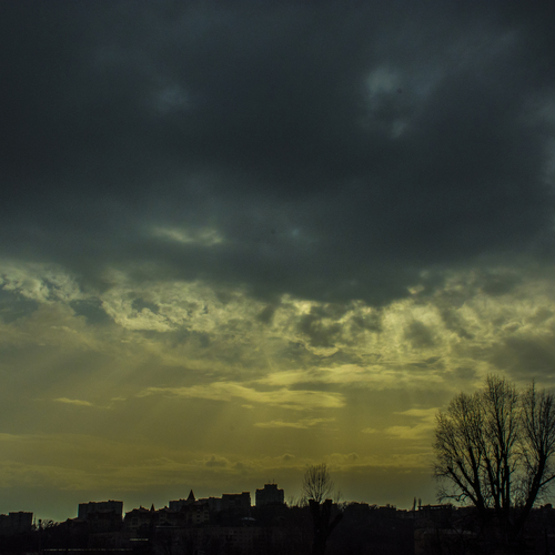 Photo #13764330